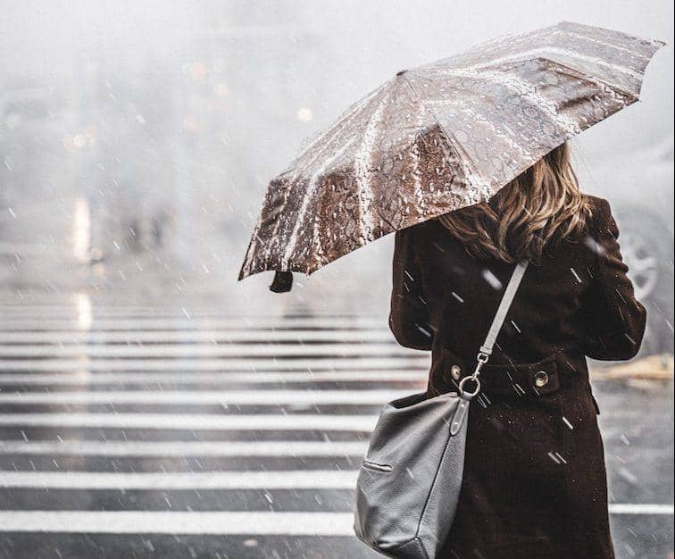 woman walking on pedestrian lane while holding umbrella