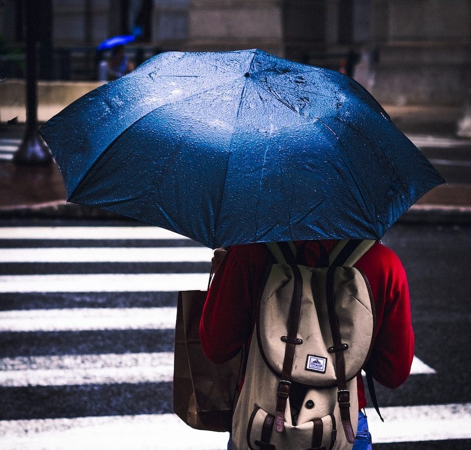 person holding blue umbrella